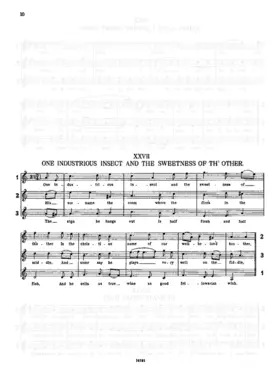 One Industrious Insect