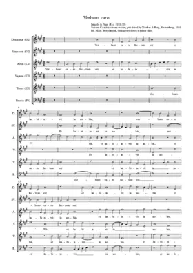 Verbum caro factum est