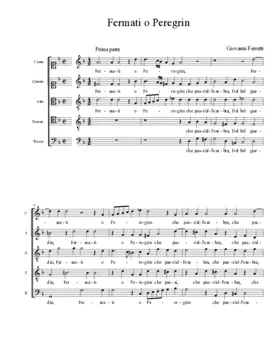 Fermati o Peregrin