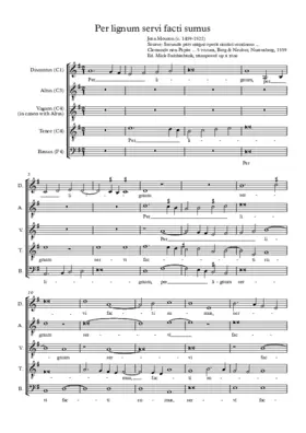 Per lignum servi facti sumus