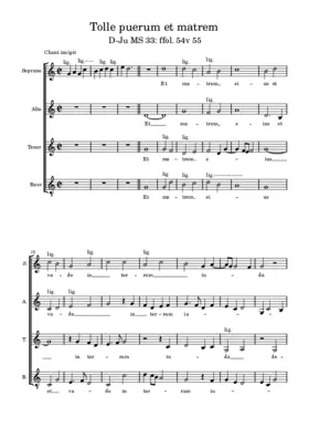 Tolle puerum et matrem (D-Ju MS 33)