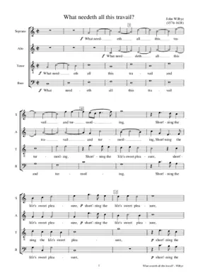 What needeth all this travail