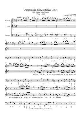 Durchsuche dich, o stolzer Geist