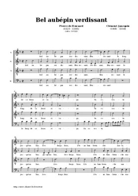 Bel aubépin verdissant