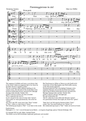 Fiammegiavano in ciel