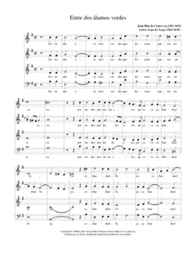 Entre dos álamos verdes