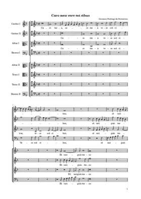 Caro mea vere est cibus a 8