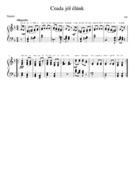 Csuda jól élünk a gitárossal