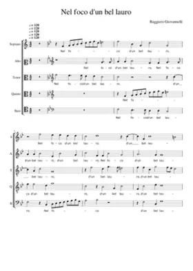 Nel foco d'un bel lauro