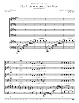 Nacht ist wie ein stilles Meer