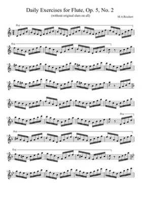 7 Exercices journaliers pour la flûte Op.5
