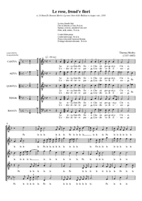 Le rose fronde e fiori