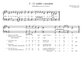 C - 23. neděle v mezidobí