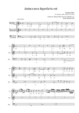 Anima mea liquefacta est