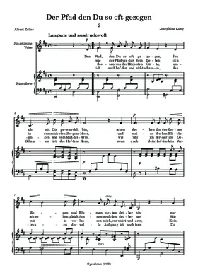 Der Pfad den Du so oft gezogen