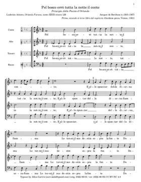 Pel bosco errò tutta la notte il conte