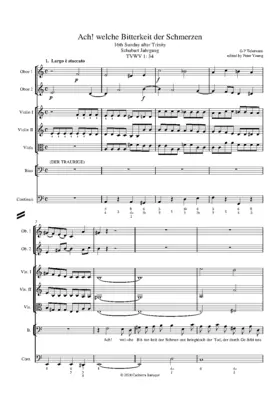Ach, welche Bitterkeit der Schmerzen