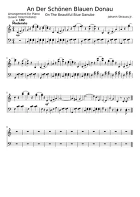 An der schönen blauen Donau Op.314