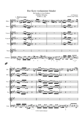 Der Kern verdammter Sünder, TWV 1:303