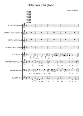 Tibi laus tibi gloria