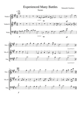 Experienced Many Battles