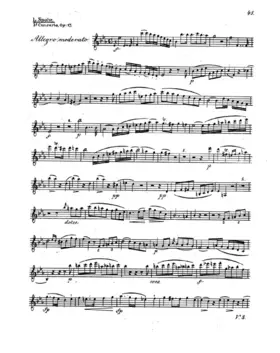Violin Concerto No.5
