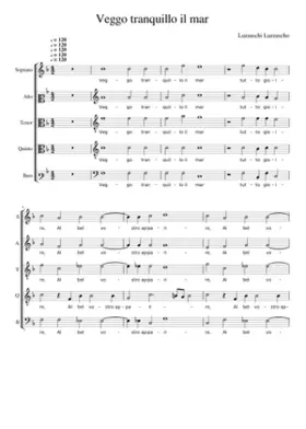 Veggo tranquilloil mar