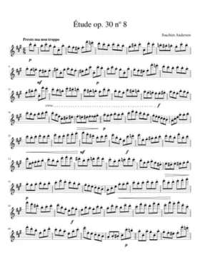 24 Etudes for Flute Op.30