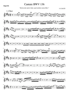 Erforsche mich Gott und erfahre mein Herz BWV 136