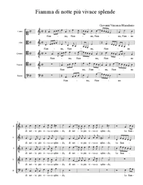 Fiamma di notte più vivace splende