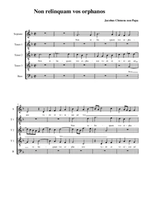 Non relinquam vos orphanos