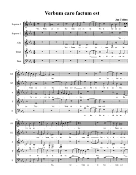 Verbum caro factum est