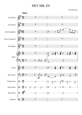 Hey Mr. DJ
