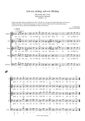 Ach wie nichtig, ach wie flüchtig, TWV 1:37