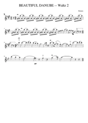 An der schönen blauen Donau Op.314