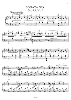Piano Sonata No.19