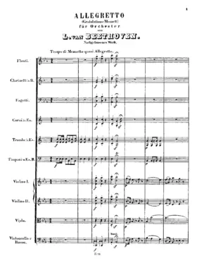 Allegretto (Gratulations-Menuett) for Orchestra