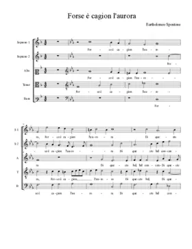 Forse è cagion l'aurora