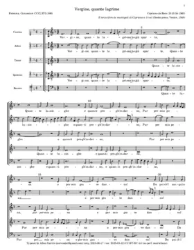 Vergine quante lagrime