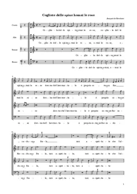 Cogliete delle spine homai le rose