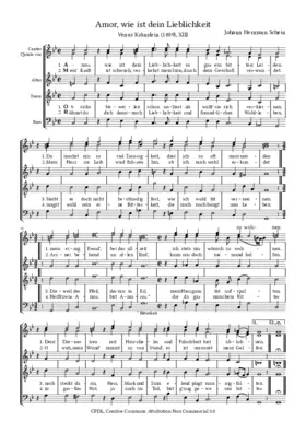 Amor, wie ist dein Lieblichkeit