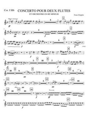 COR1SIB. CONCERTO 2 FLUTES