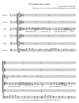 Chi prende amor a gioco