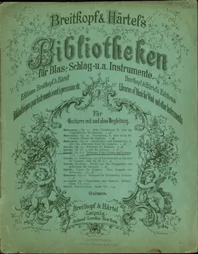 Nocturne pour Violon et Guitare