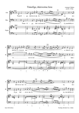 Transfige, dulcissime Jesu
