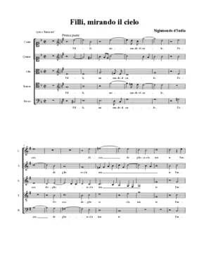 Filli, mirando il cielo