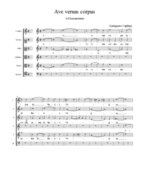 Ave verum corpus