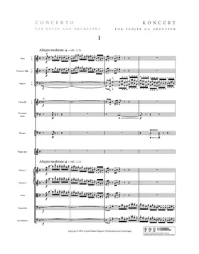 Flute Concerto