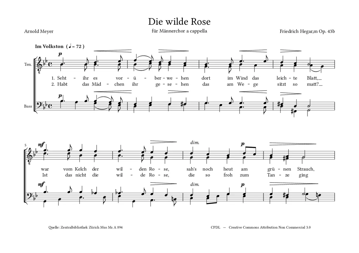 Die wilde Rose - Page 1
