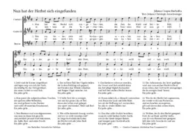 Nun hat der Herbst sich eingefunden